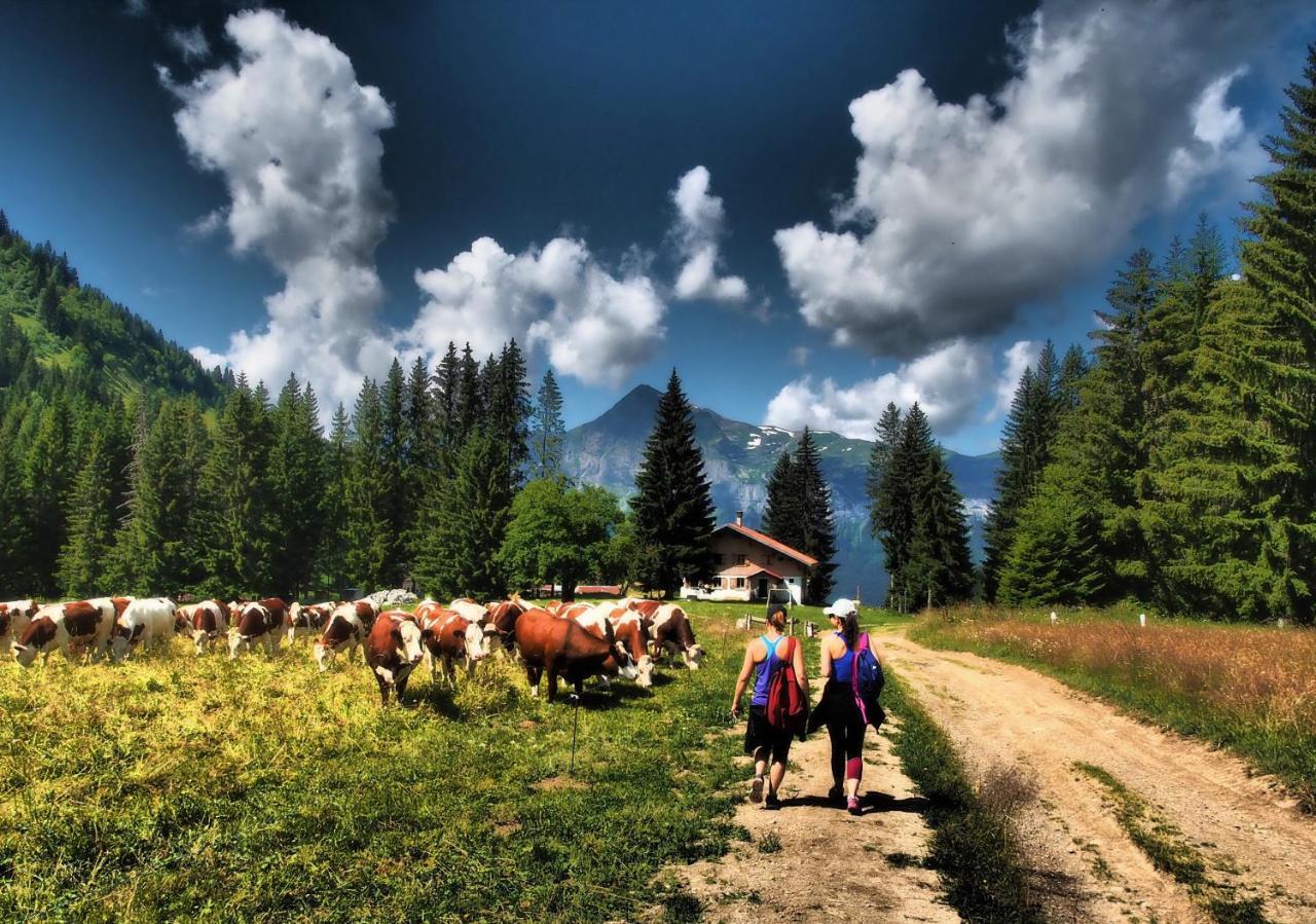 Bellevue Centre, Wifi, Mountain View Διαμέρισμα Les Carroz d'Araches Εξωτερικό φωτογραφία